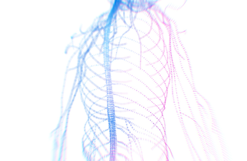 Nervous System