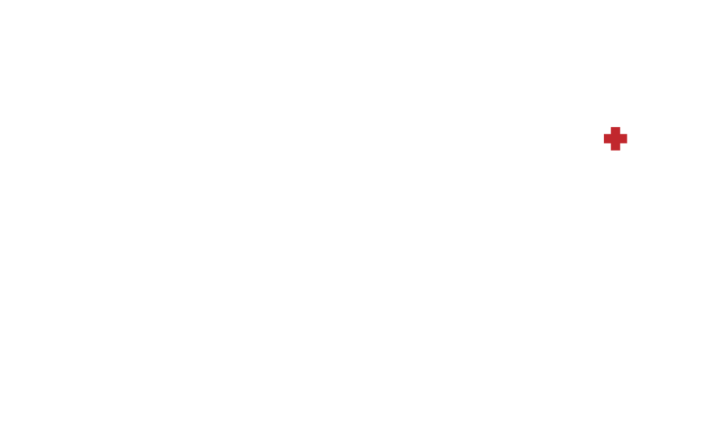 Icon: Land, Sea and Air delivery