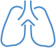 Lungs